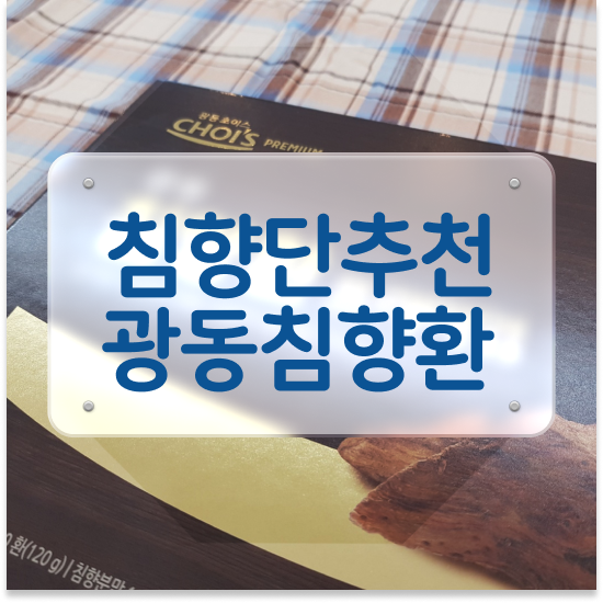  몸이무거워요 거래처선물 꿀팁까지