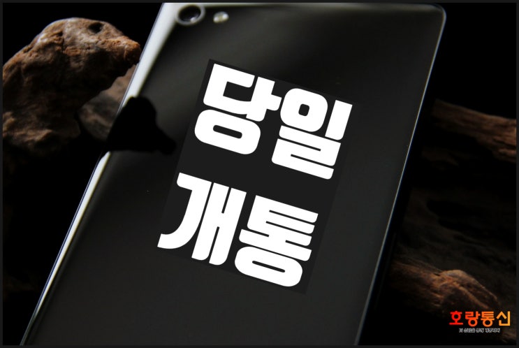 앤텔레콤 태블릿 소유자 회원번호 2838835 간편 접수 앤텔레콤 태블릿 소유자 회원번호 2838835 간편 접수