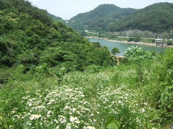 청웅저수지 사진 2