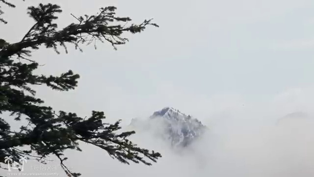  병원코디네이터 자격증 후기 , 병원코디네이터 자격증 준비한 방법 확인해봅시다