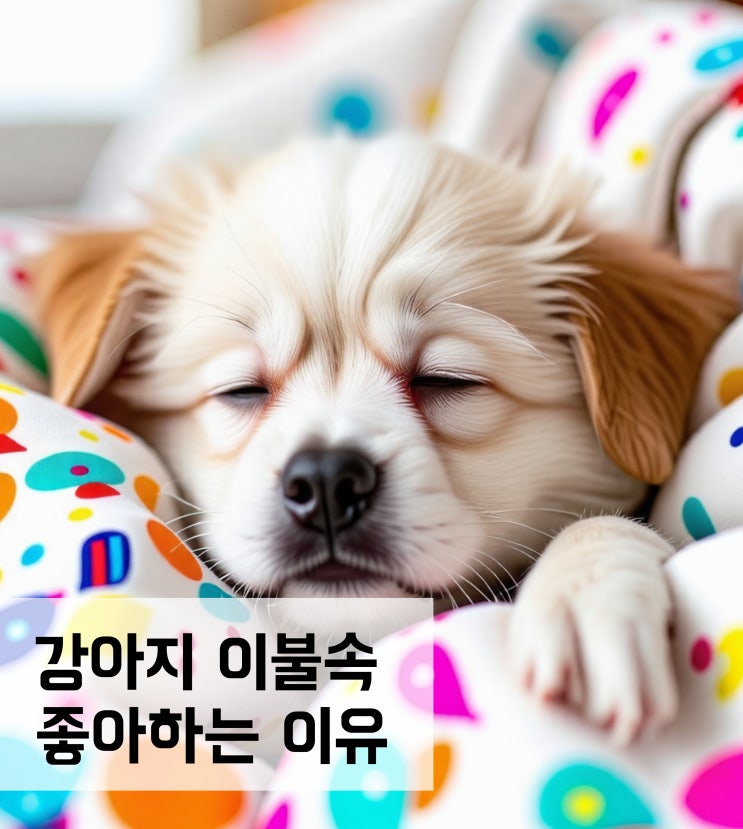 강아지 이불속 좋아하는 이유는?
