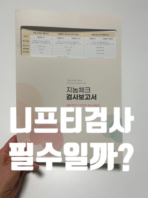  니프티 검사(산전 기형아 검사) 필수일까?