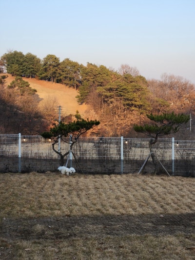 사진 4