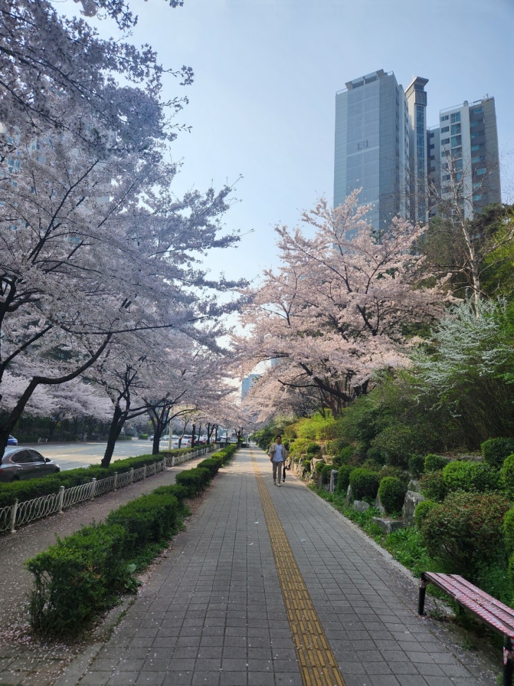  2024년 2월 결산