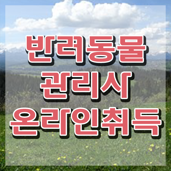  , 반려동물관리사 자격증 직장인도 쉽게 합격한 전략 확인