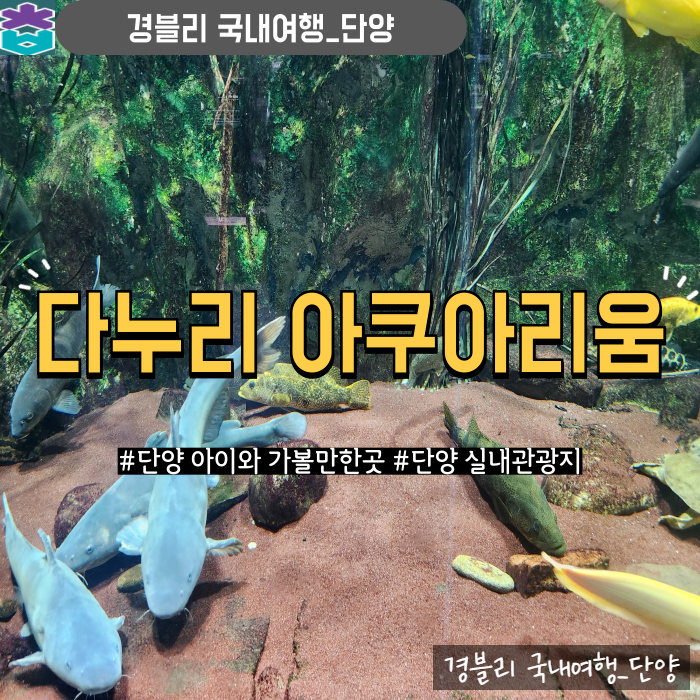 단양 실내여행지 단양 아이와 가볼만한곳 '다누리아쿠아리움'