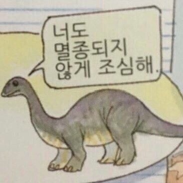  2023 6월 결산(상반기 결산)