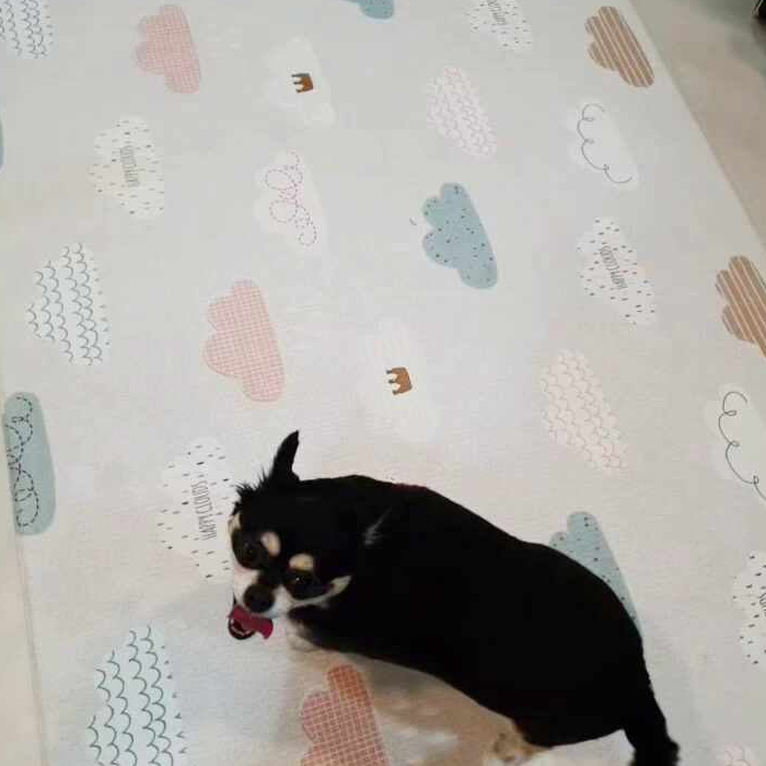 사진 2