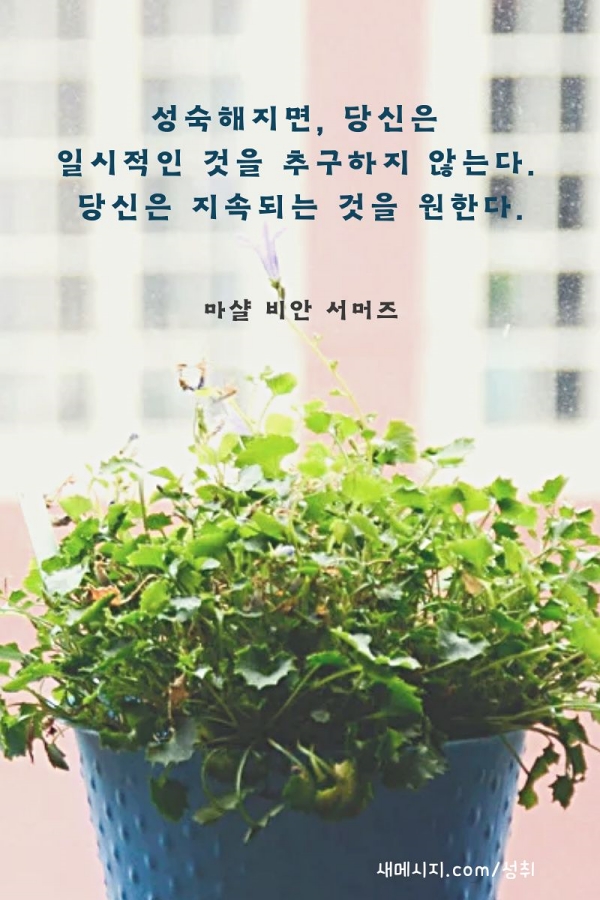 성숙함 성숙함