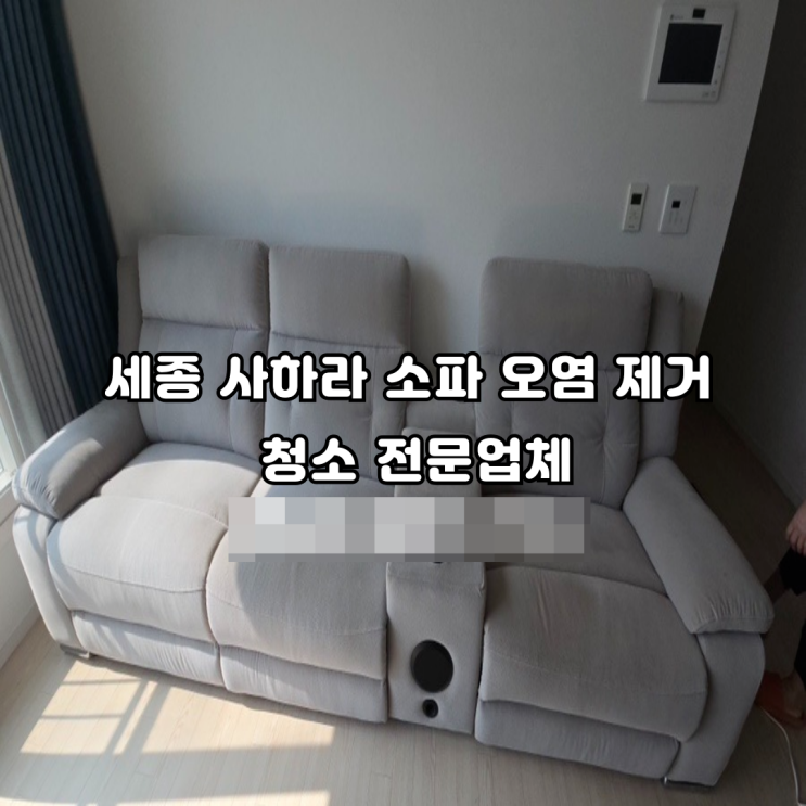  세종 사하라 소파 오염 제거 청소 전문 업체