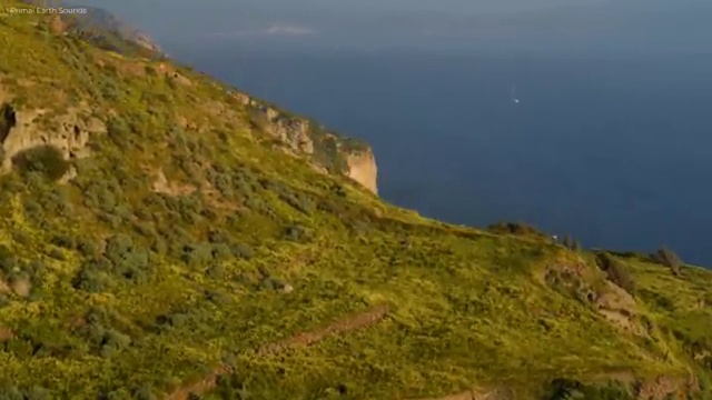  부산병원코디네이터 , 병원코디네이터 자격증 직장인도 쉽게 합격정보 및 향후 전망
