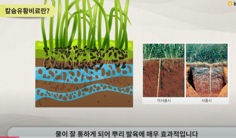 2025년 칼슘유황비료 지원사업