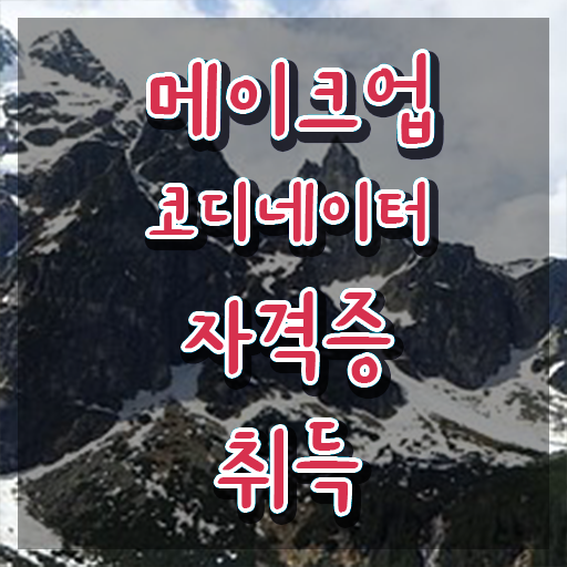  메이크업 아티스트 취업 , 메이크업코디네이터 자격증 한달 만에 합격한 전략 , 활용 방법
