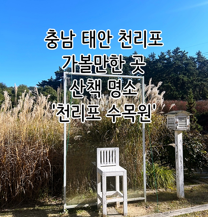  충남 태안 천리포 가볼만한곳 산책 명소 '천리포 수목원'