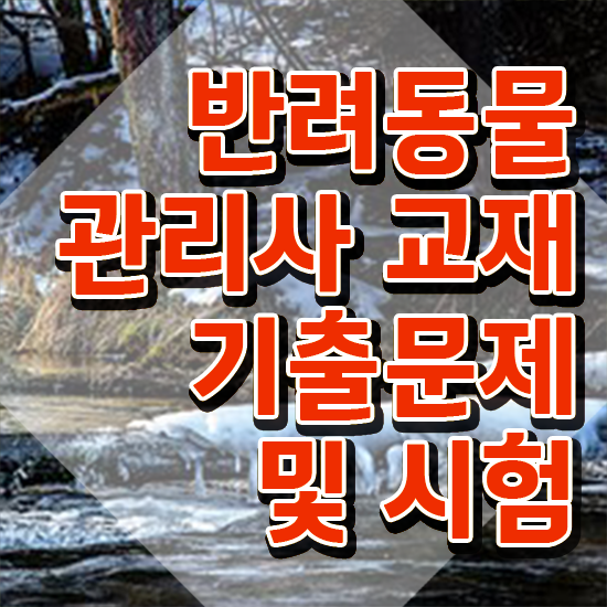  반려동물관리사 취업 , 반려동물관리사 자격증 1급,2급 동시에 취득한 정보 궁금하다면