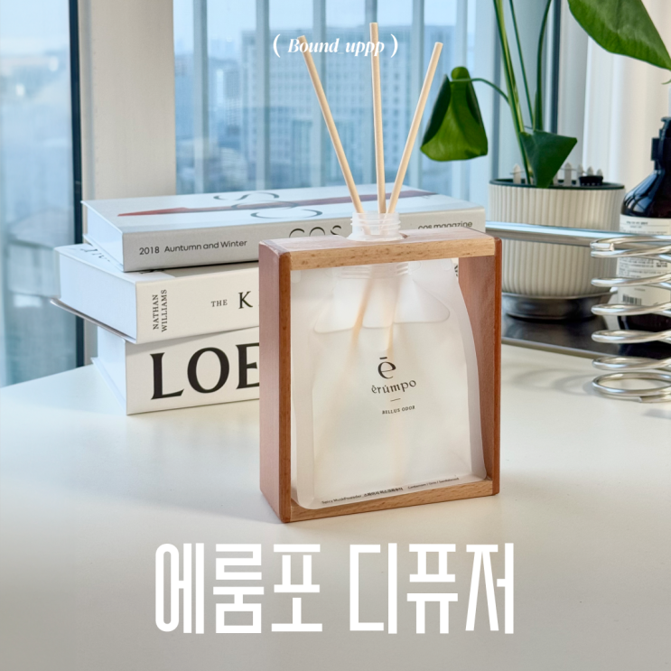  에룸포 디퓨저 인테리어 소품으로 좋은 선택