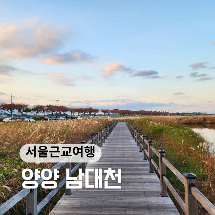 양양 가볼만한곳 남대천 생태관찰로 갈대밭 산책 양양 가볼만한곳 남대천 생태관찰로 갈대밭 산책