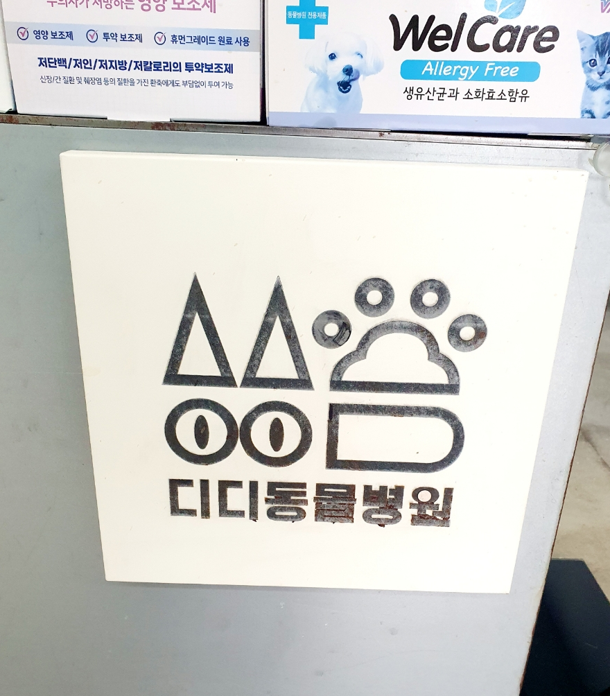 디디동물병원 사진 2