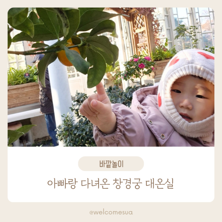  겨울 아기와 실내 놀이 창경궁 대온실에서 보낸 하루