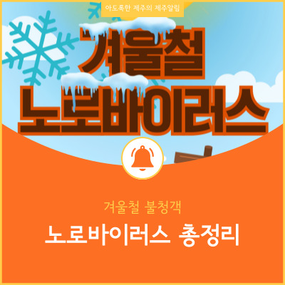  노로바이러스 잠복기 및 증상과 예방정보 오해와 진실