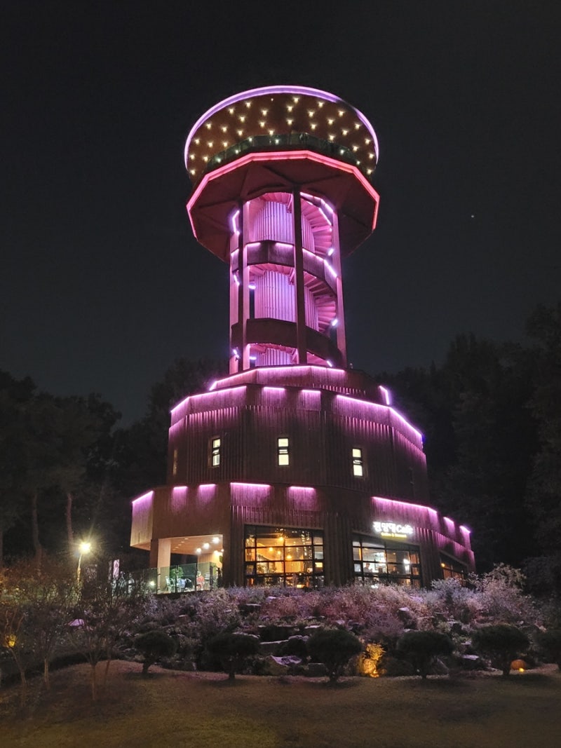 사진 3