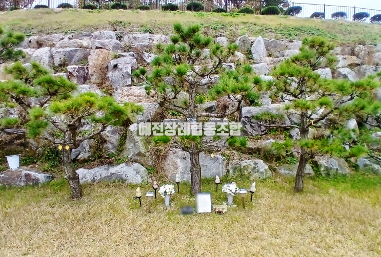  전곡 수목장 분양가격