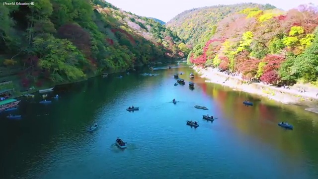  경기도 병원동행매니저 병원동행매니저자격증 온라인으로 손쉽게 취득방법 살펴보기