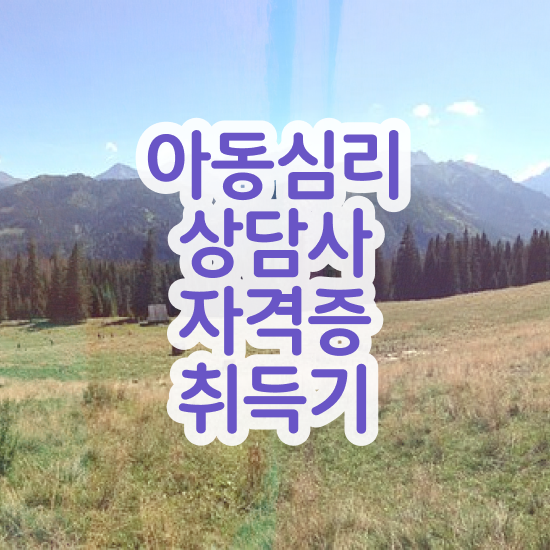  2급아동심리상담사자격증취득방법 , 아동심리상담사 자격증 합격한 전략 소개