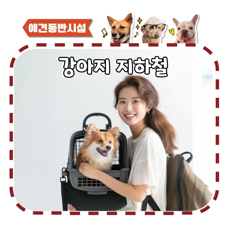  강아지 지하철 이동장, 개모차 탑승 가능한가요?