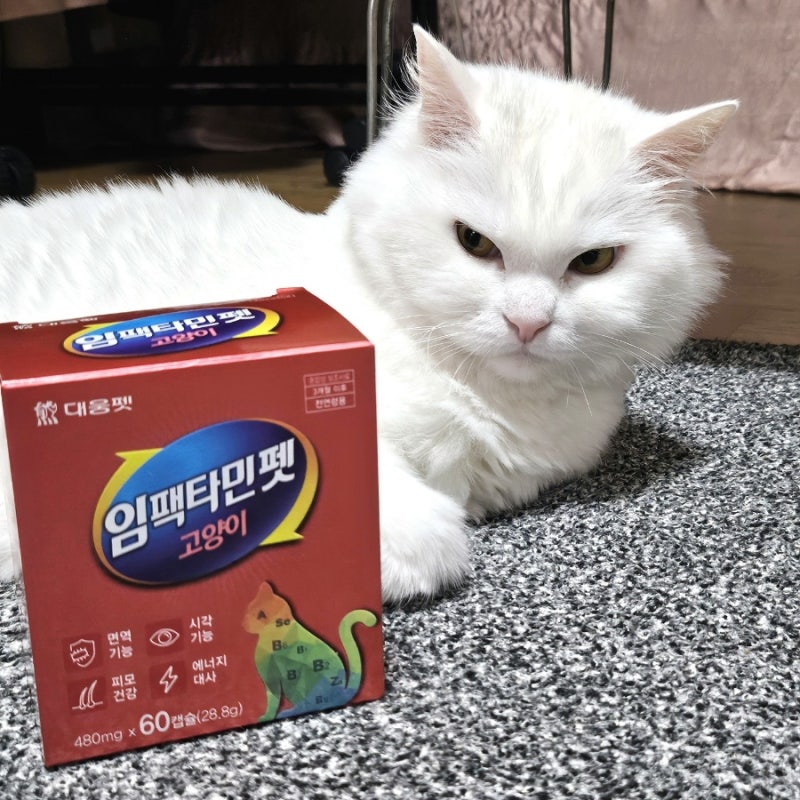 우리집 고양이를 위한 면역력 에너지 종합 영양제 '대웅제약 임팩타민펫'