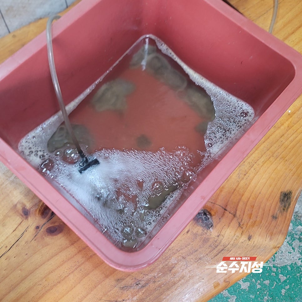대호식당 사진 7