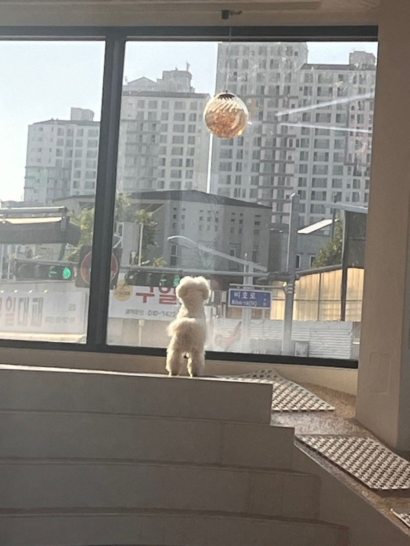 사진 6