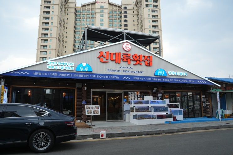  속초 대포항 맛집 추천! 대게와 방어회가 자꾸 생각나는 집 '신대륙횟집 대포항점'