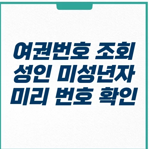  여권번호 조회 미리 번호 알 수 있을까 만료일 성인 미성년자