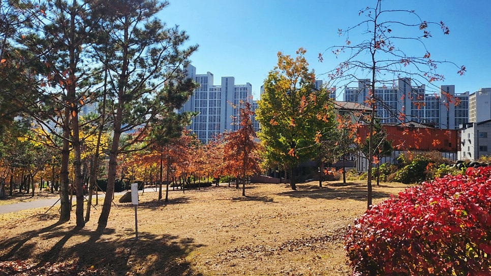 갈동뒷동산 사진 3