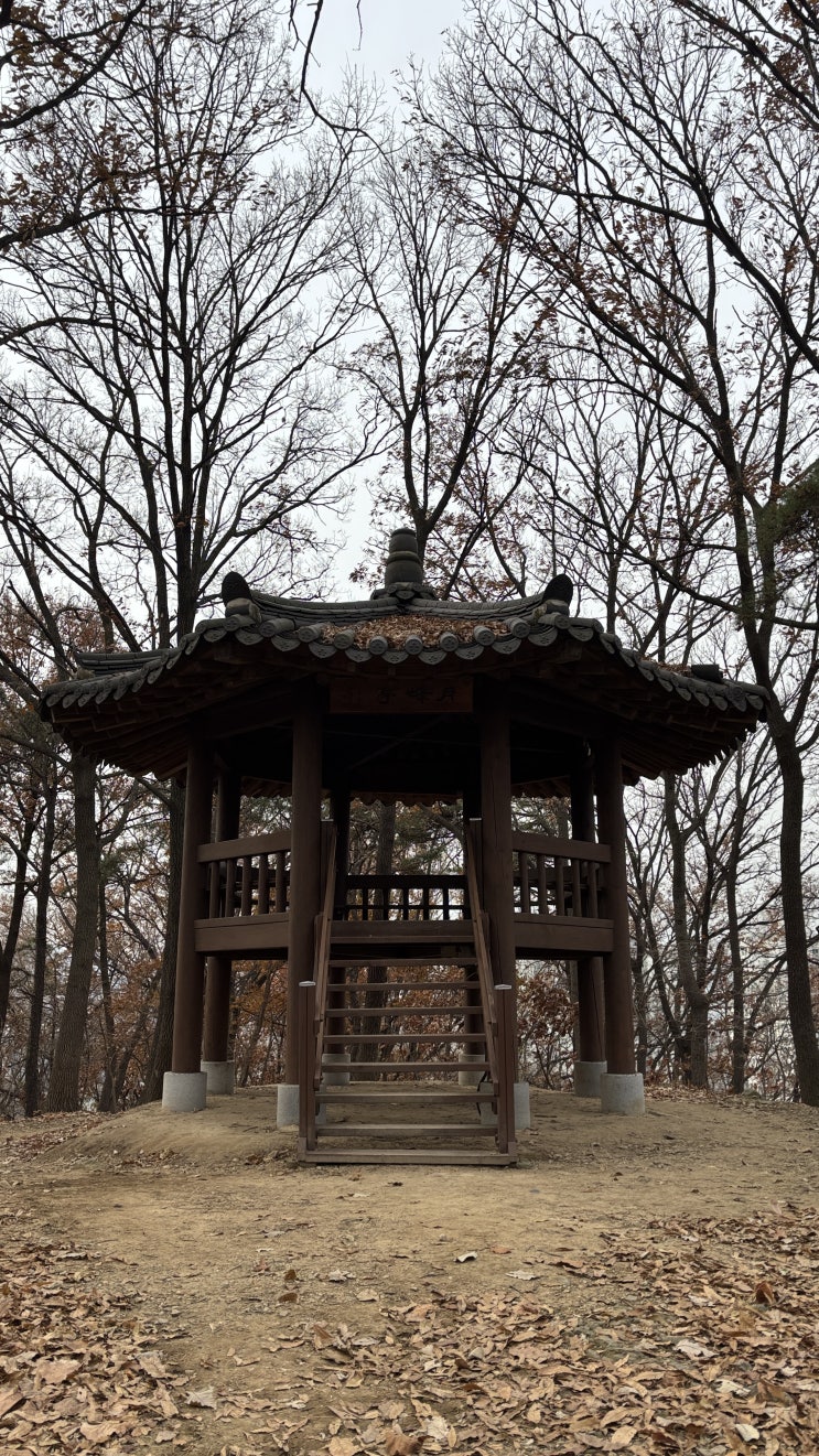 충남 천안 월봉산 오르기(등산)