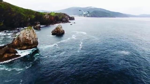  무료 타로점 , 타로상담전문가 타로상담전문가자격증 온라인으로 간단히 합격 비법