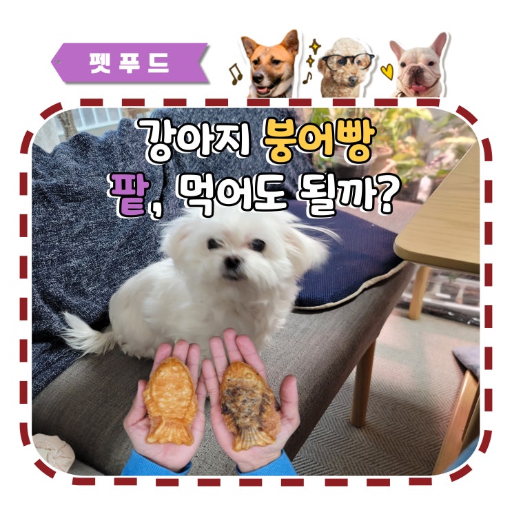  강아지 붕어빵 호빵 밀가루 팥 먹어도 될까?