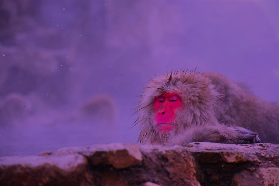 온천각 사진 2