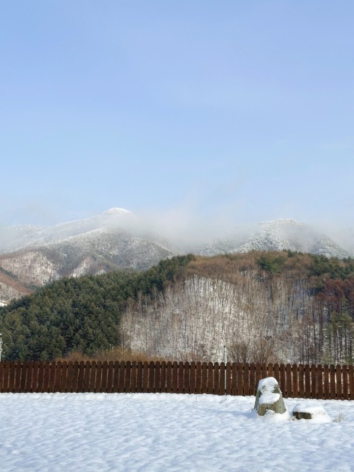 사진 7