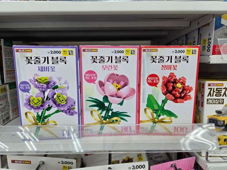  내돈내산)다이소 꽃 줄기 블럭