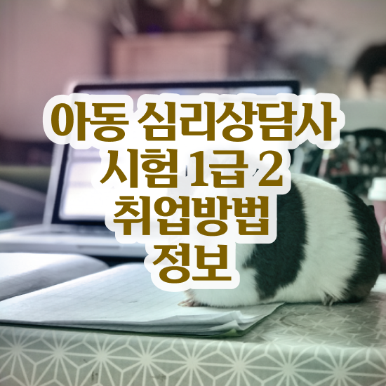  유아 심리상담 자격증 , 심리상담사 자격증 2주 만에 취득했던 후기 정리해드립니다