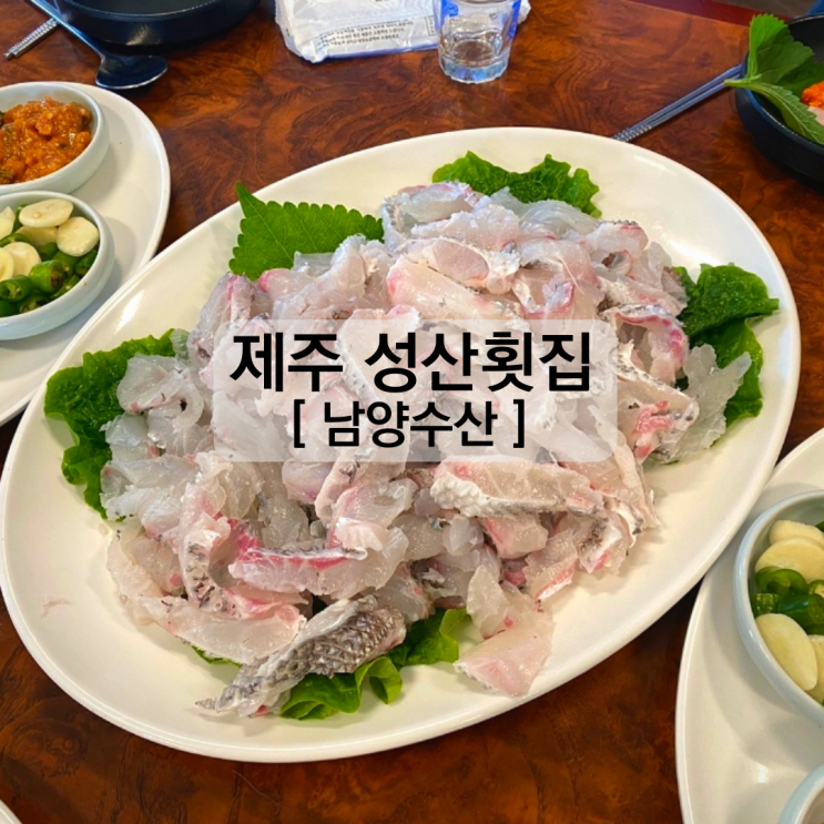  제주도 성산 현지인 참돔 고등어회 맛집 남양수산