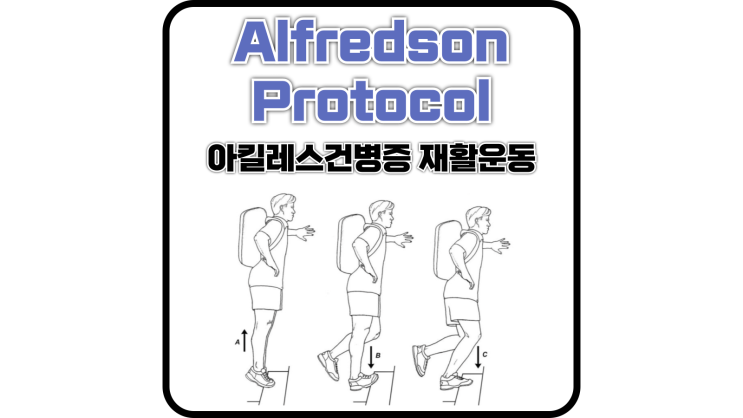  아킬레스건병증 재활운동 Alfredson Protocol / Alfredson 스트레칭