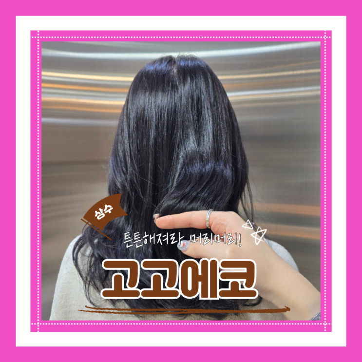 (홍대 저렴 미용실 추천) 상수역헤어클리닉맛집 친절해서 더 만족스러웠던 가성비미용실 고고에코