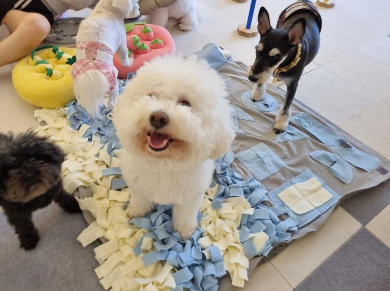 사진 2