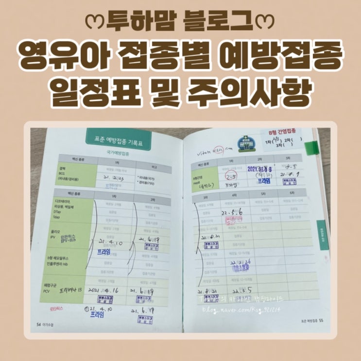  영유아 접종별 예방접종 일정표  및 주의사항 (열나요 어플)