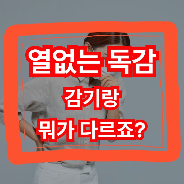  열없는 독감 A형 B형 독감 증상부터 해결까지 한눈에!