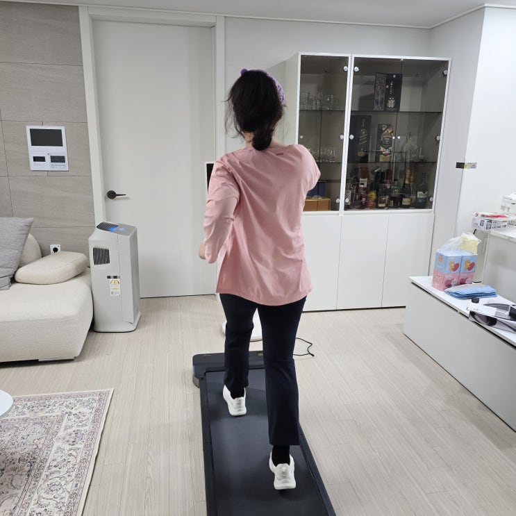  리얼 접이식 가정용 워킹패드 킹스미스 3주 사용후기