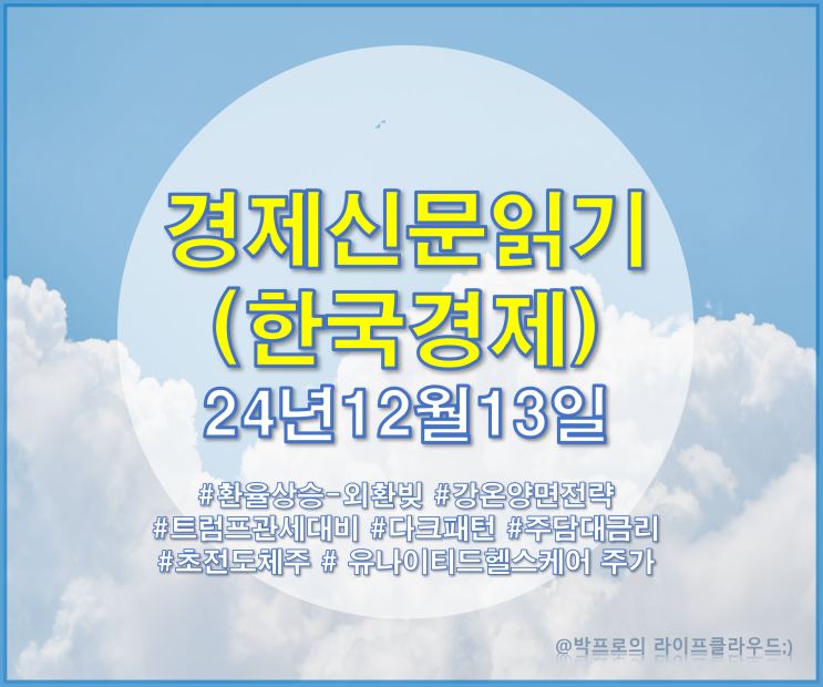 강온양면전략,관세대배책,대크패턴,주담대<b>금리인하</b>... 
